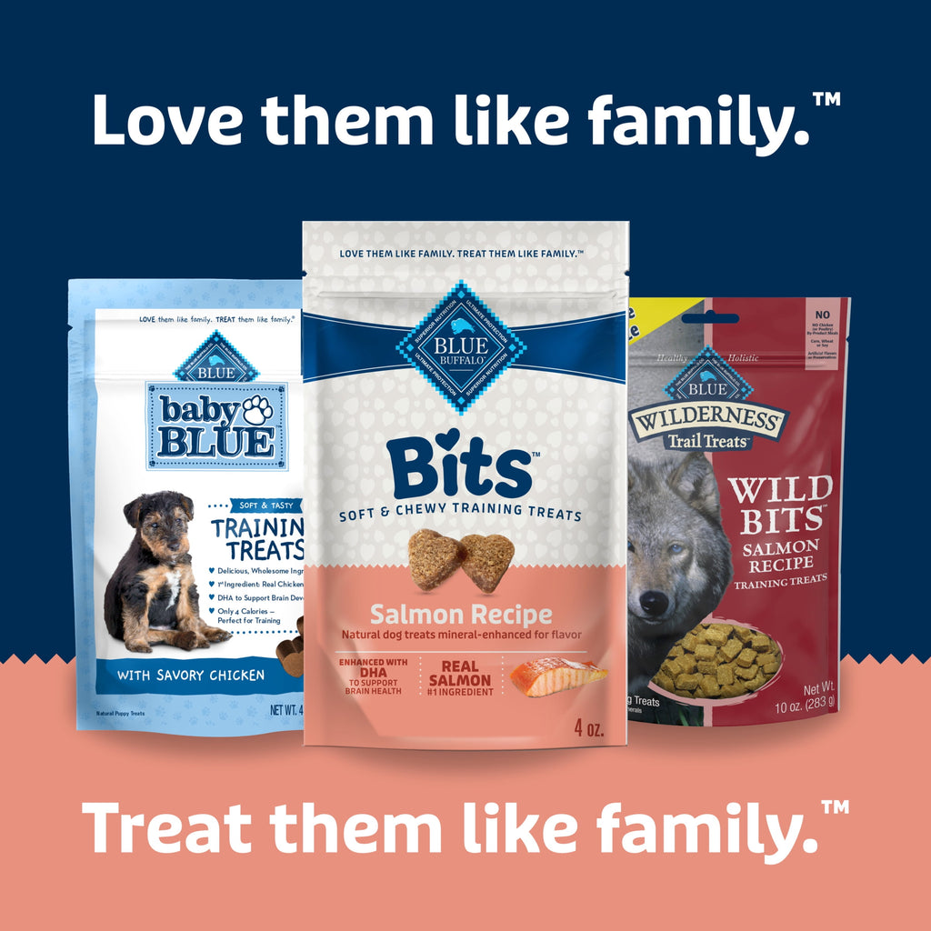 Blue Buffalo Bits Soft Dog Treats for Training, Enhanced with DHA, Salmon, 4-oz. Bag