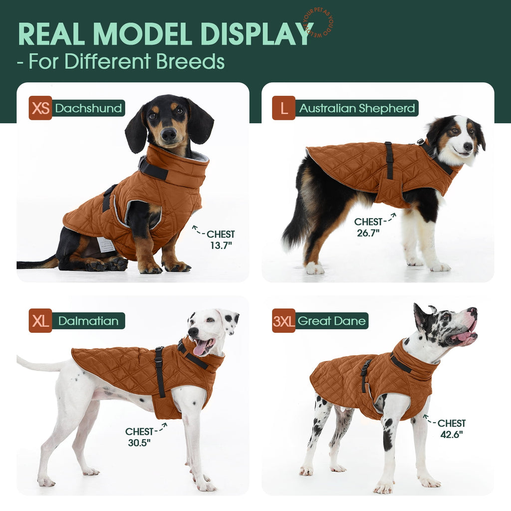 Kuoser Dog Winter Coat Warm Reflective Pet Jacket Waterproof Cold Weather Clothes for Dogs, Gray, M