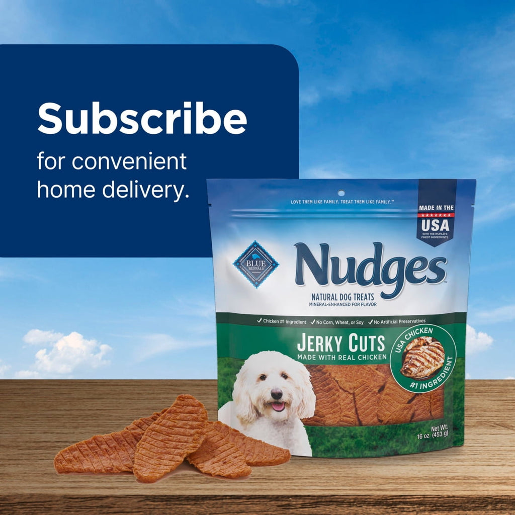 Blue Buffalo Nudges Jerky Cuts, Natural Dog Treats, Chicken Jerky, 28oz Bag