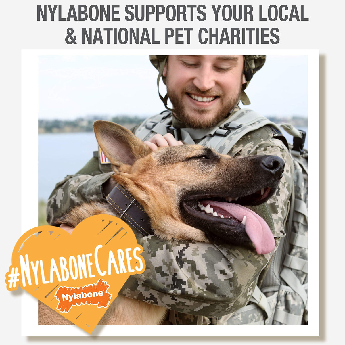 Nylabone Natural Nubz Edible Dog Chews Value Pack of 66ct. / 7.8 lbs. Total (3 x 2.6 lb / 22 ct Bags), 66 large chews; in 3- 2.6lb bags By Visit the Nylabone Store
