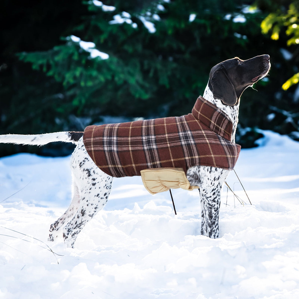 Kuoser Reversible Dog Coat Adjustable British Style Plaid Pet Jacket, Waterproof and Windproof, Blue, M