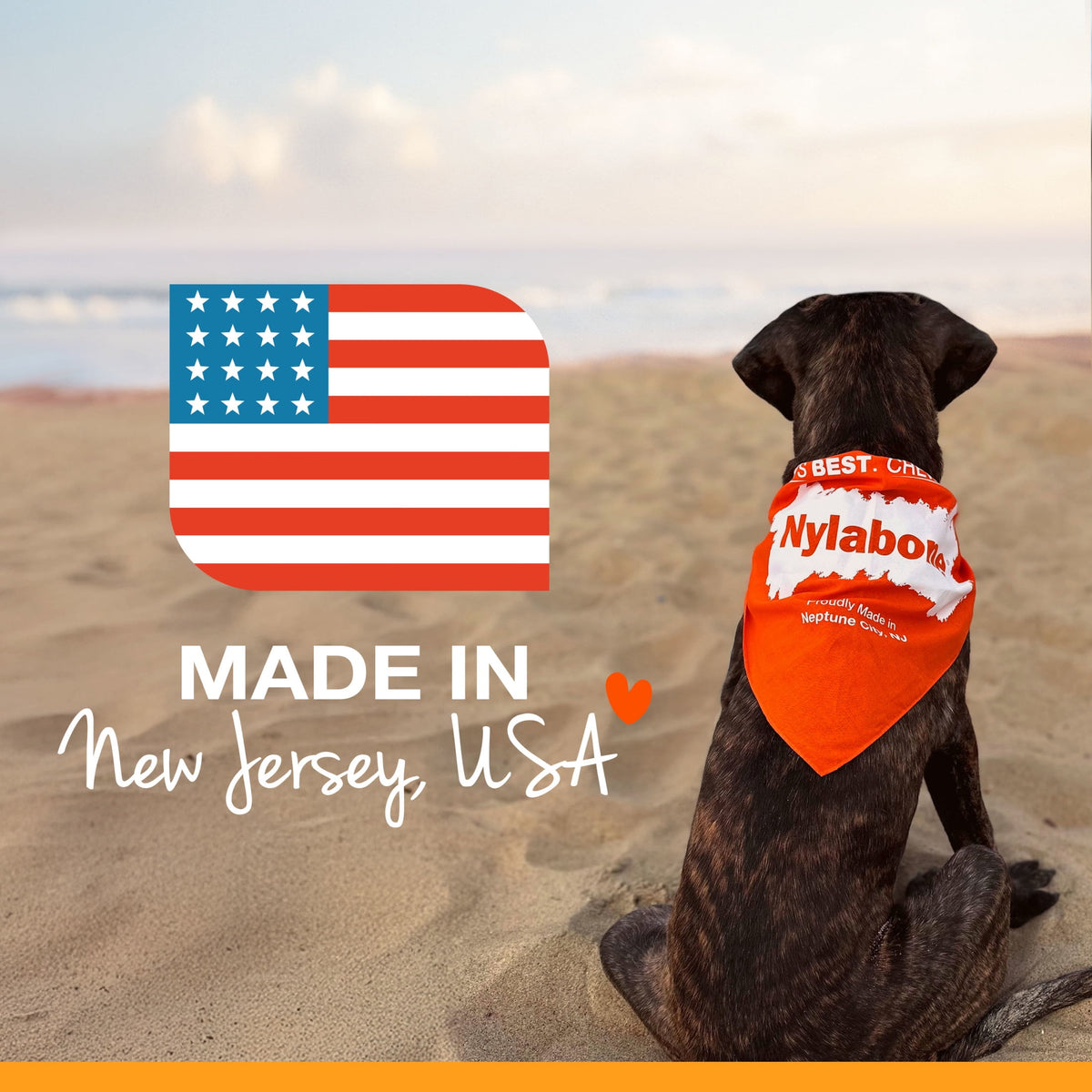 Nylabone Power Chew Original Bone Dog Toy, Dog Chew Toy, Original Flavor, Large, 1 Count