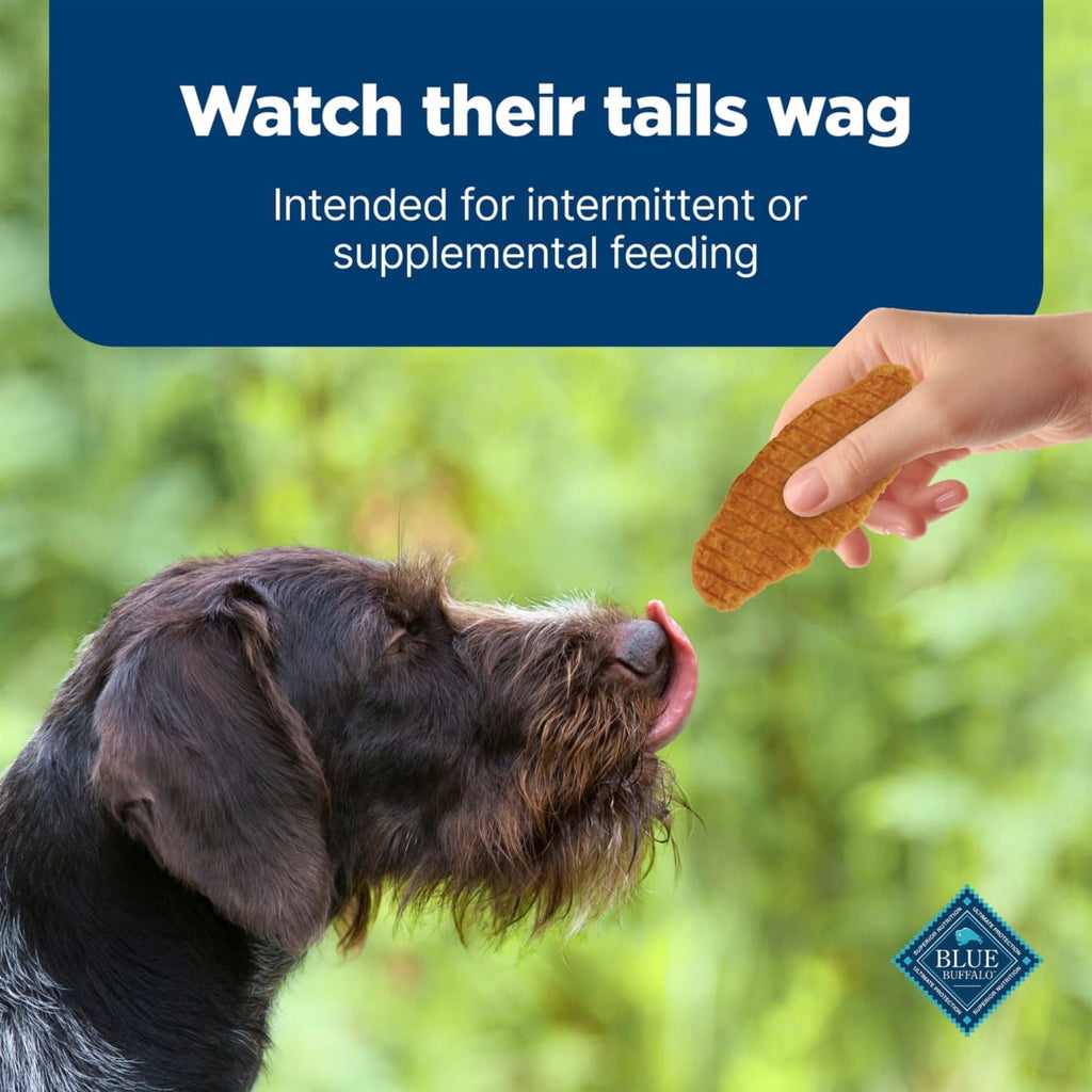 Blue Buffalo Nudges Jerky Cuts Dog Treats, Made in the USA with Natural Ingredients, Chicken, 5-oz. Bag