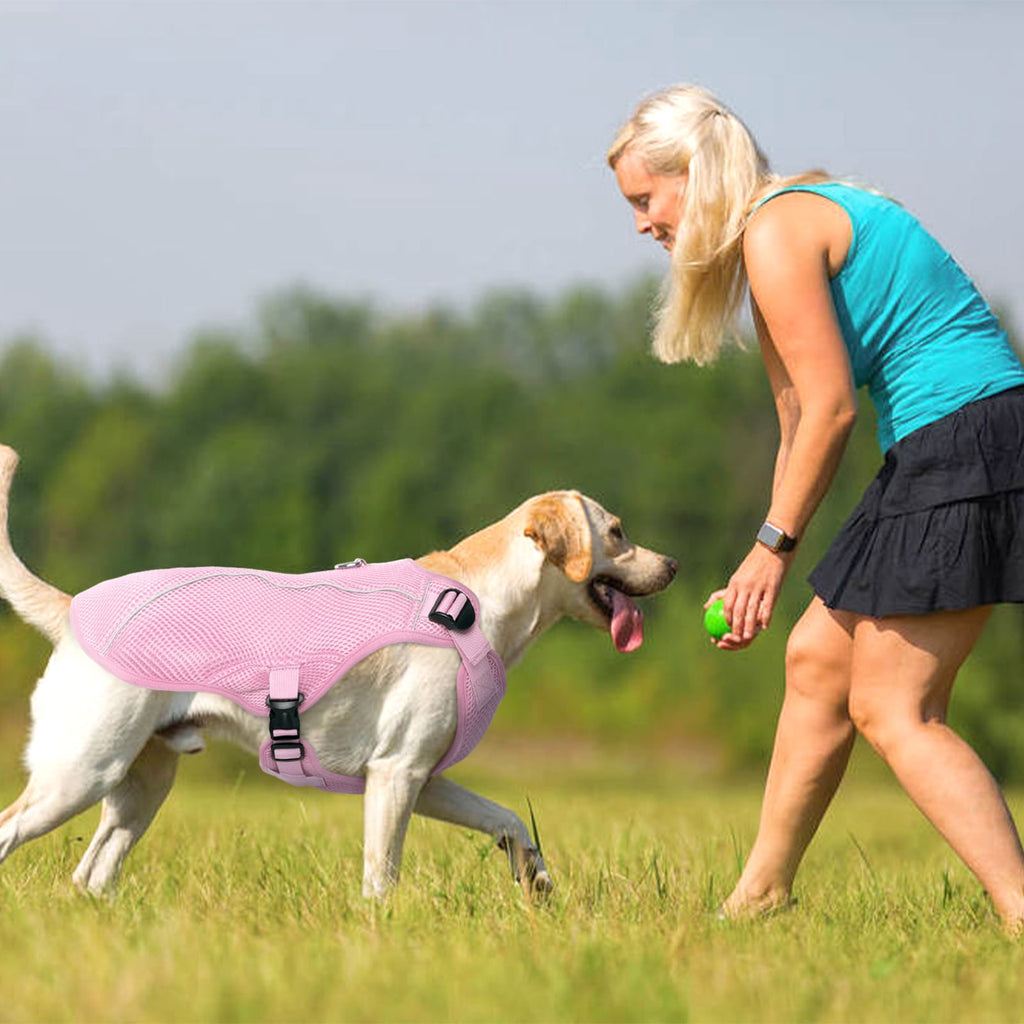 Kuoser Dog Cooling Vest, Breathable Mesh Ice Vest for Dogs, Cooling Jacket for Pet, Blue, extra large