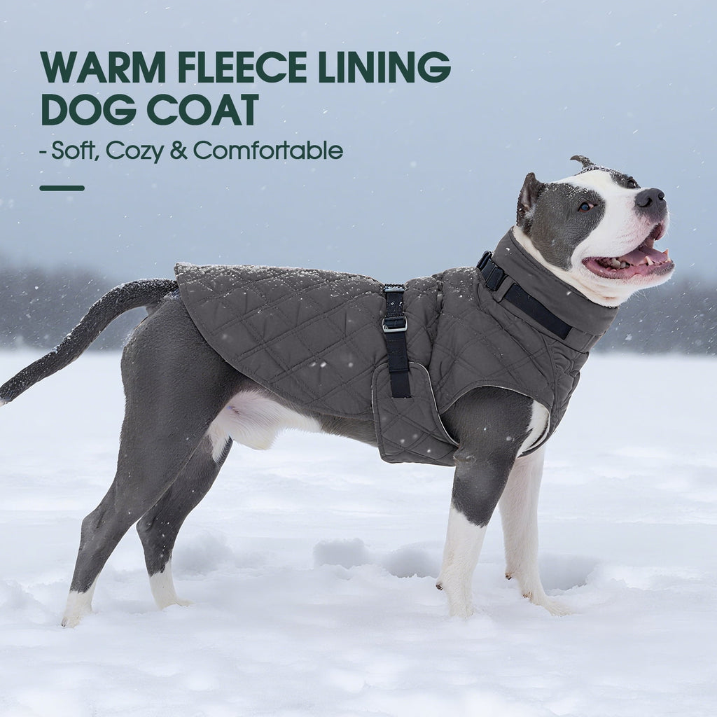 Kuoser Dog Winter Coat Warm Reflective Pet Jacket Waterproof Cold Weather Clothes for Dogs, Gray, M
