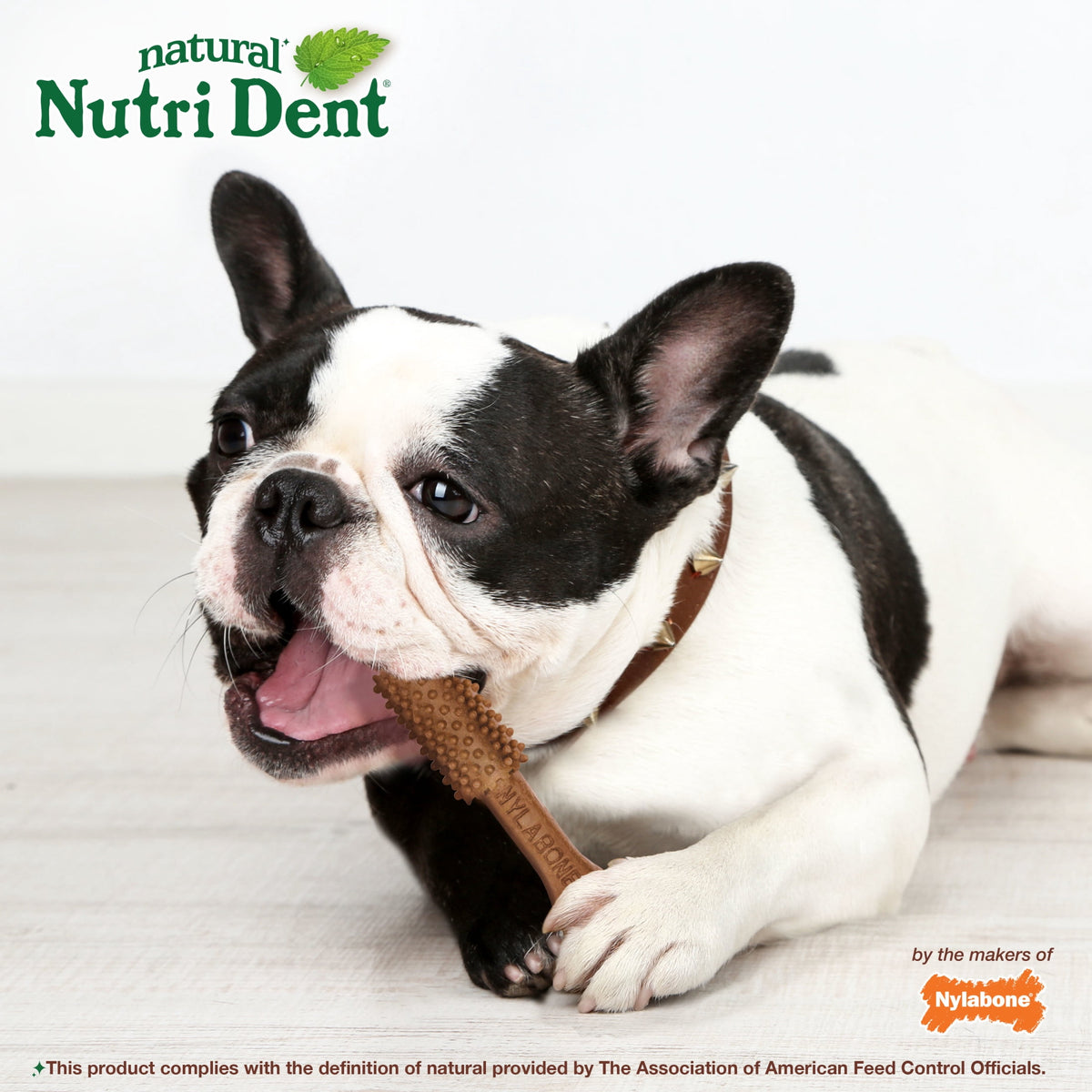 Nylabone Nutri Dent Natural Dental Chews for Dogs, Limited Ingredient Dog Treats, Teeth Cleaning Dental Sticks for Dogs, Filet Mignon Flavor, For Medium Dogs (40 Count)