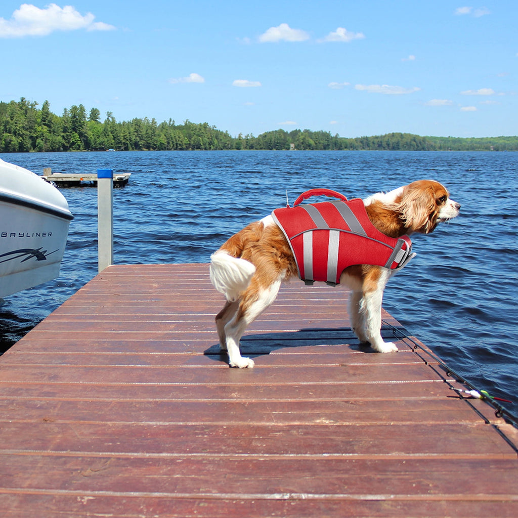 Kuoser Dog Life Jacket with Reflective Stripes, Adjustable Dog Life Vest, Red, M