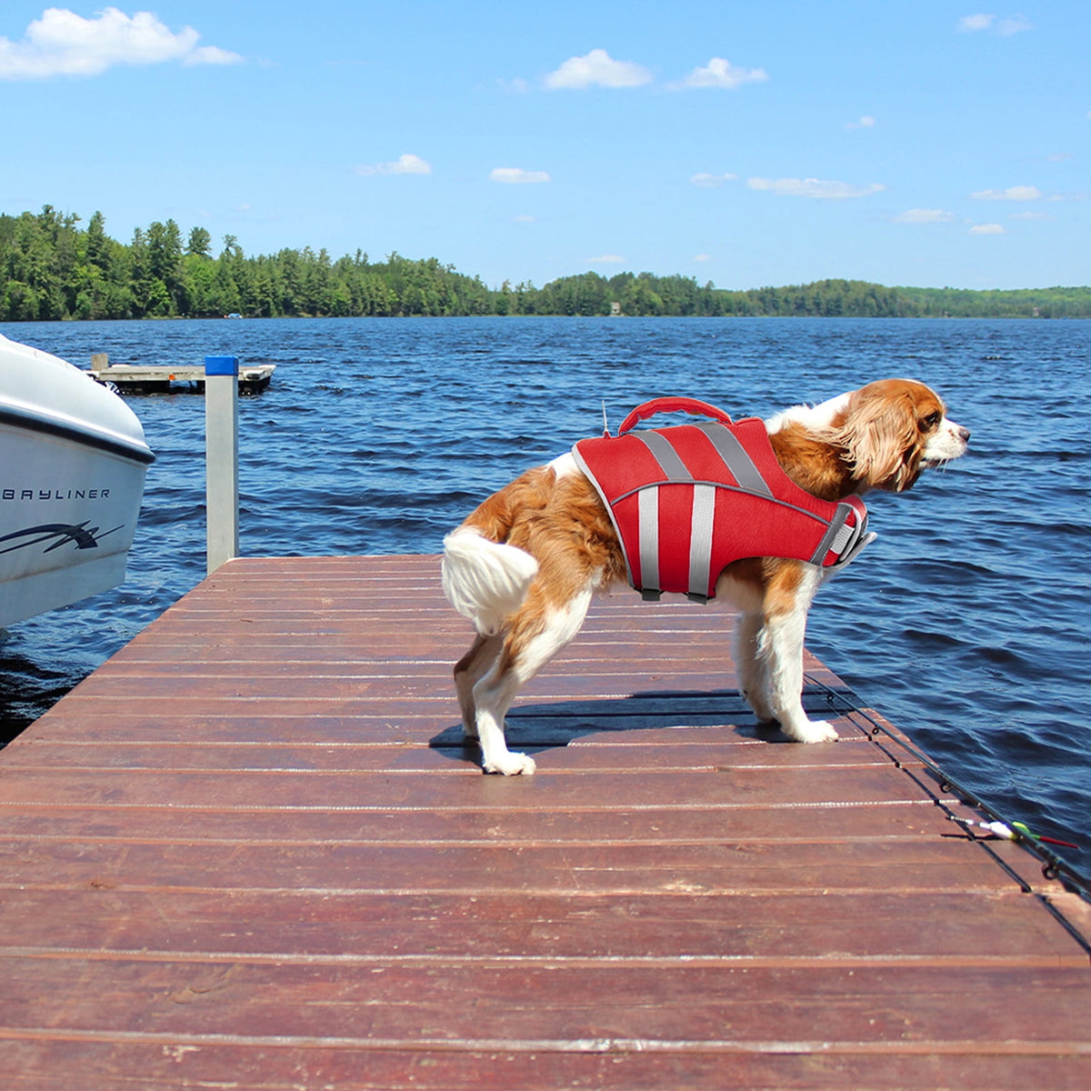 Kuoser Dog Life Jacket with Reflective Stripes, Adjustable Dog Life Vest, Red, M