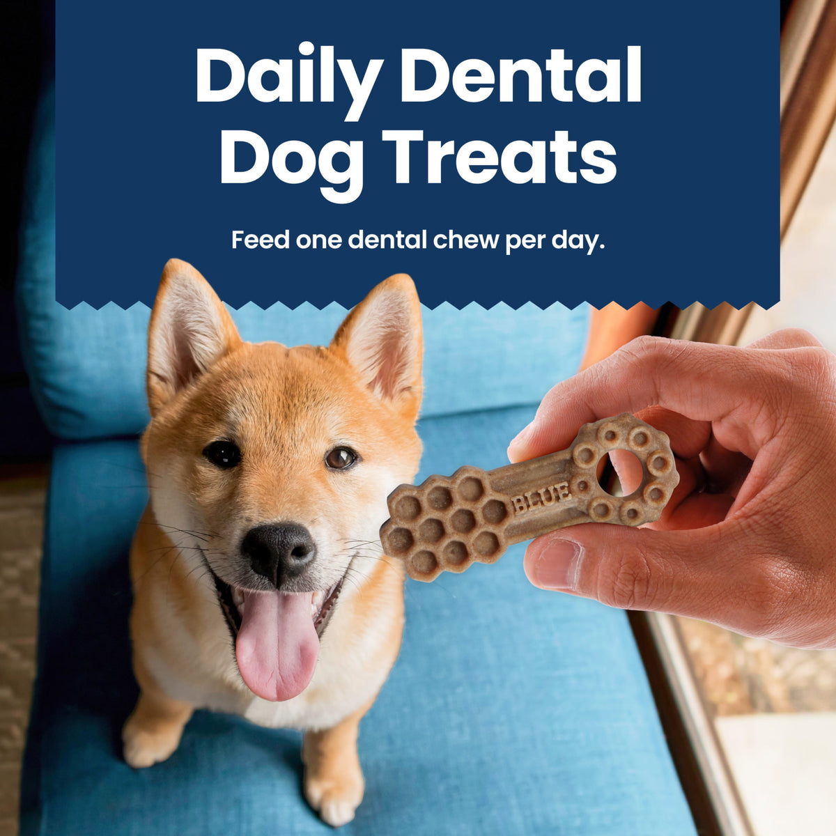 Blue Buffalo Dental Chews Small Natural Dog Treats, Chicken & Spearmint (56 Count)