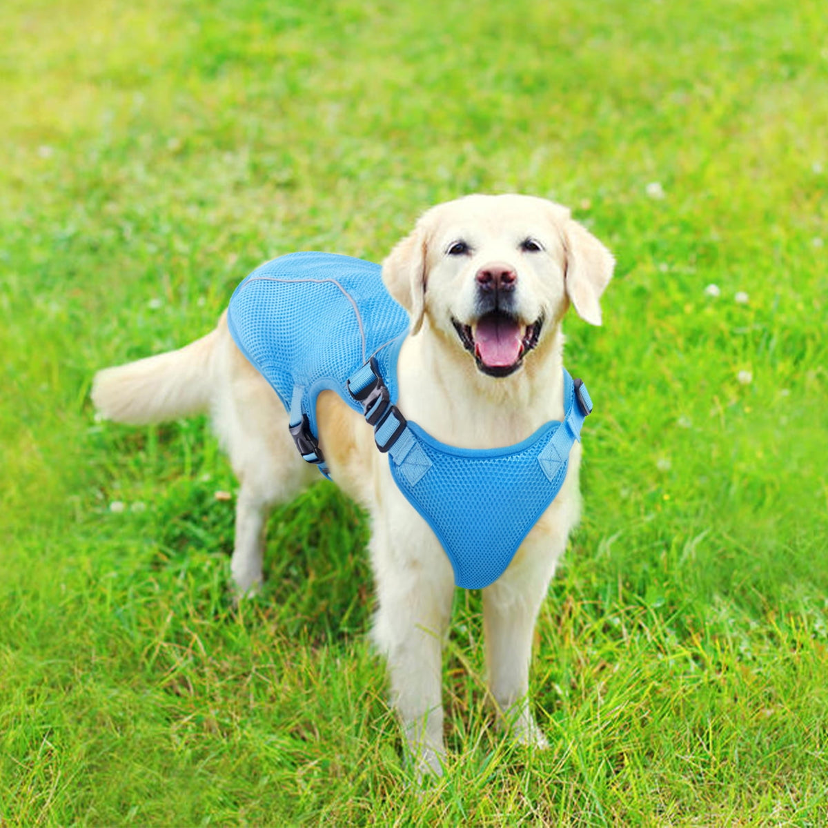 Kuoser Dog Cooling Vest, Breathable Mesh Ice Vest for Dogs, Cooling Jacket for Pet, Blue, extra large