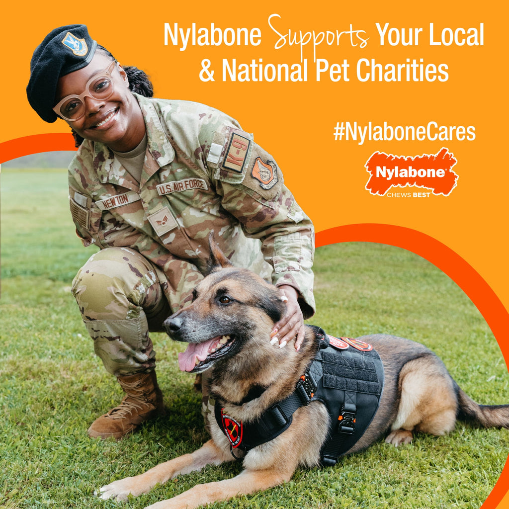 Nylabone Power Chew Original Bone Dog Toy, Dog Chew Toy, Original Flavor, Large, 1 Count