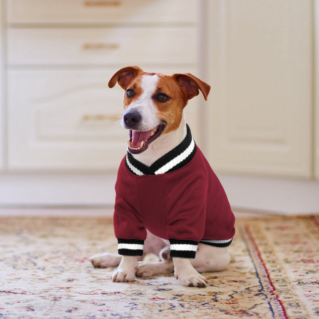 Kuoser Dog Winter Sweater, Cute Pet Pullover Vest, Soft and Thick Sweatshirt for Dogs and Cats, Green, XL