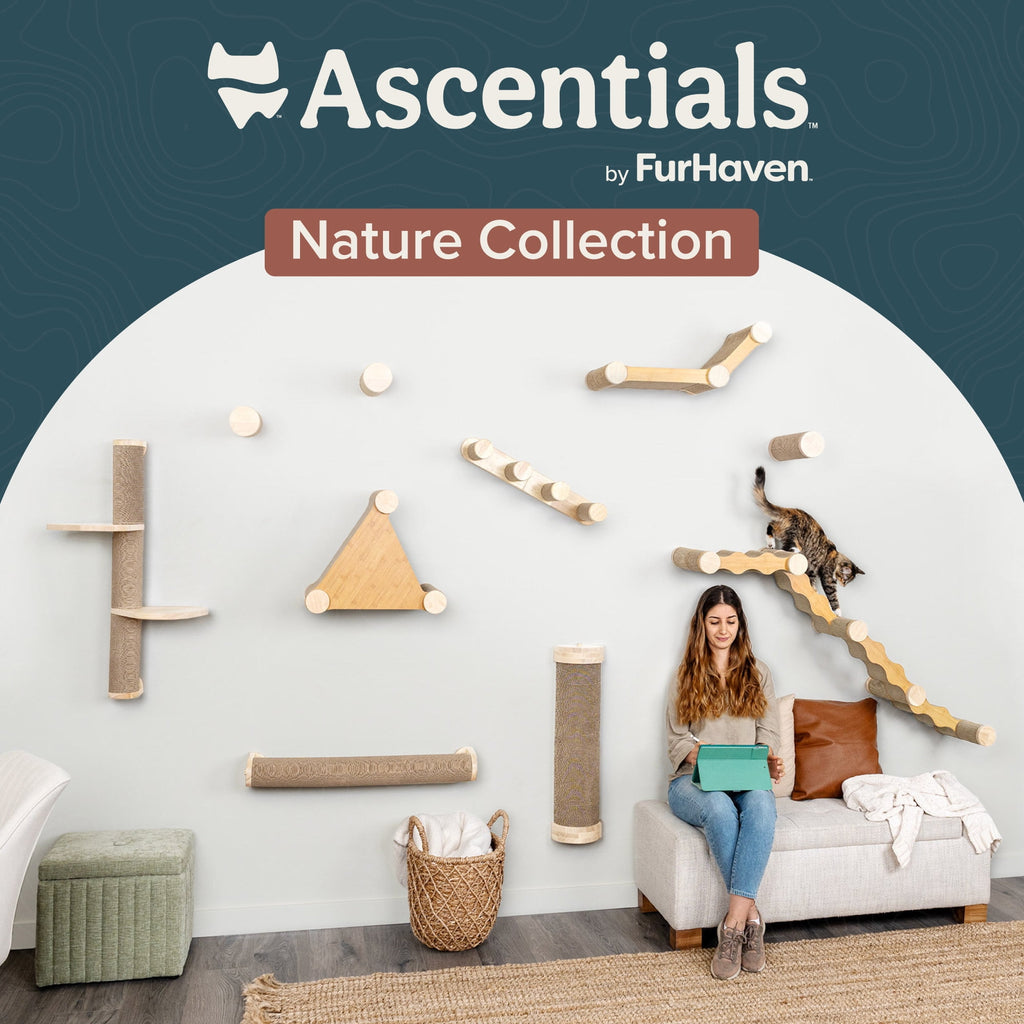 Ascentials by FurHaven Moonbeam Path Cat Scratcher (32”), Wall-Mounted Corrugated Cardboard Climber