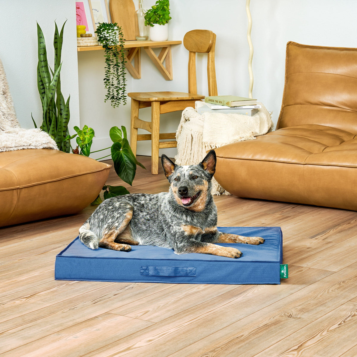 FurHaven Grid Indoor-Outdoor Cooling Memory Foam Deluxe Mattress for Dogs and Cats - Olivine, Medium