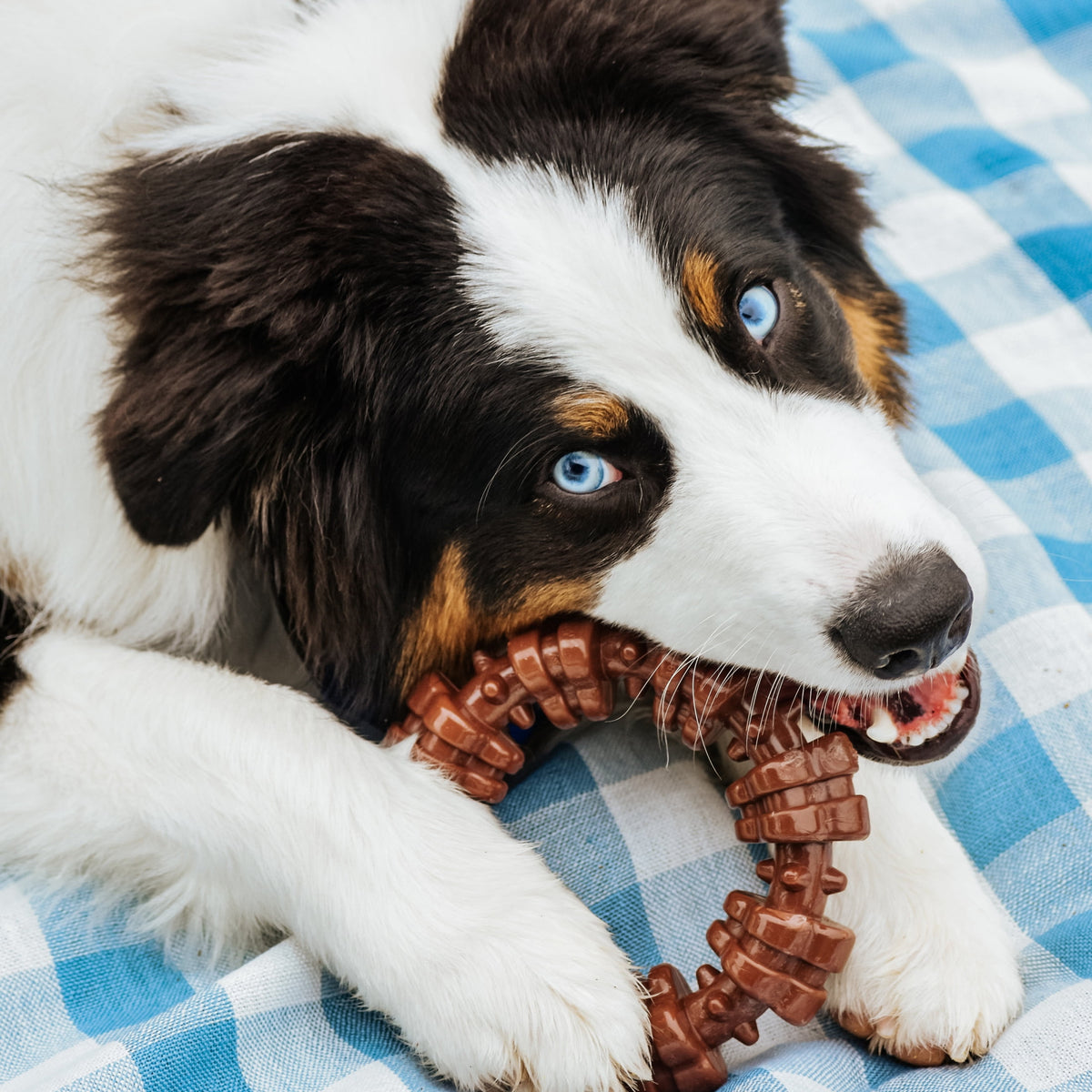 Nylabone Textured Ring Power Chew Toy For X-Large Dogs 50+ Lbs, Chew Toy For X-Large Dogs