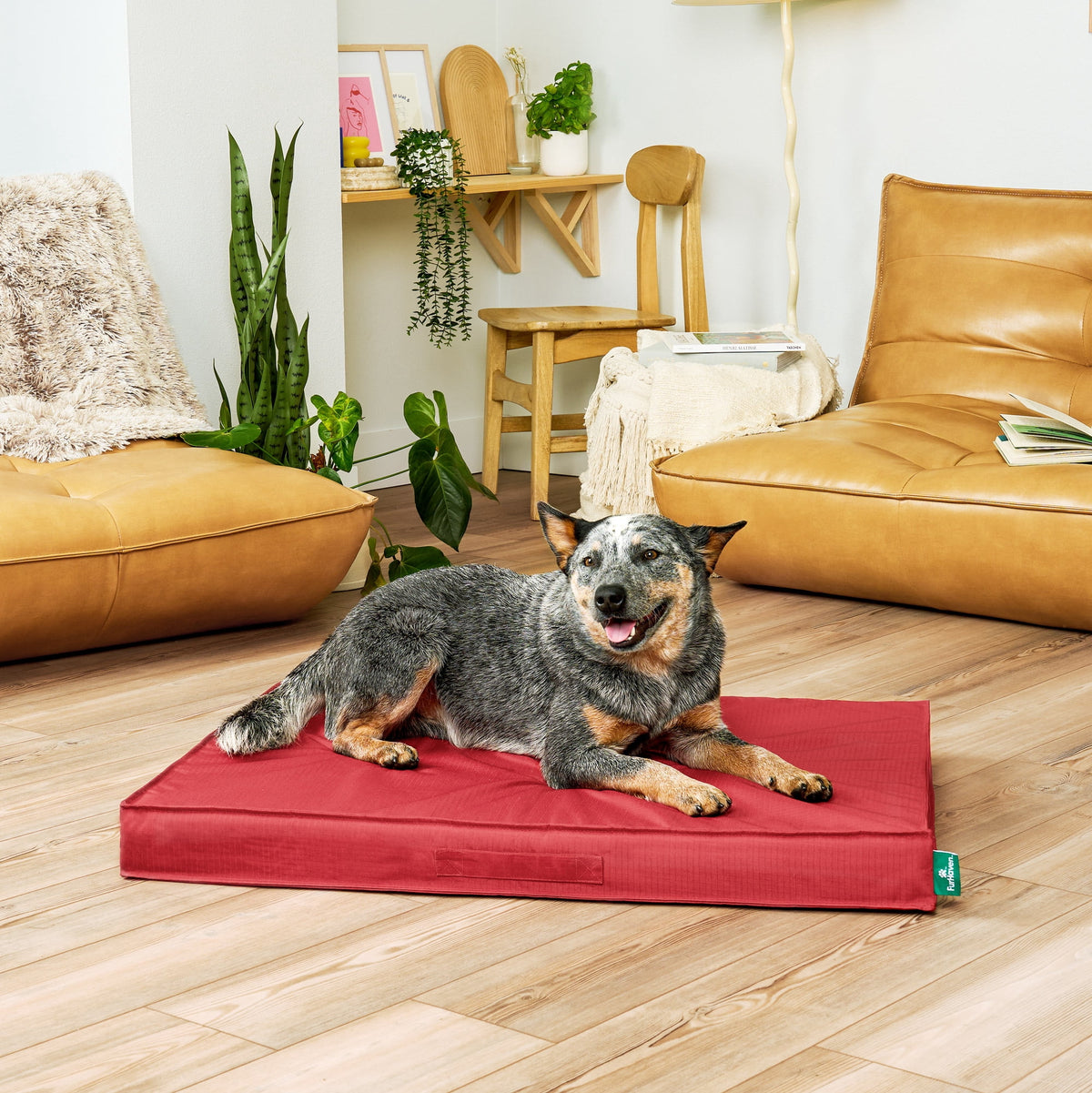 FurHaven Grid Indoor-Outdoor Cooling Memory Foam Deluxe Mattress for Dogs and Cats - Olivine, Medium