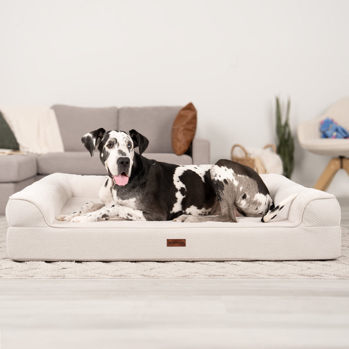 FurHaven Plush & Embossed Velvet Dreamer Orthopedic Sofa Pet Bed for Dogs and Cats - Cognac, Medium