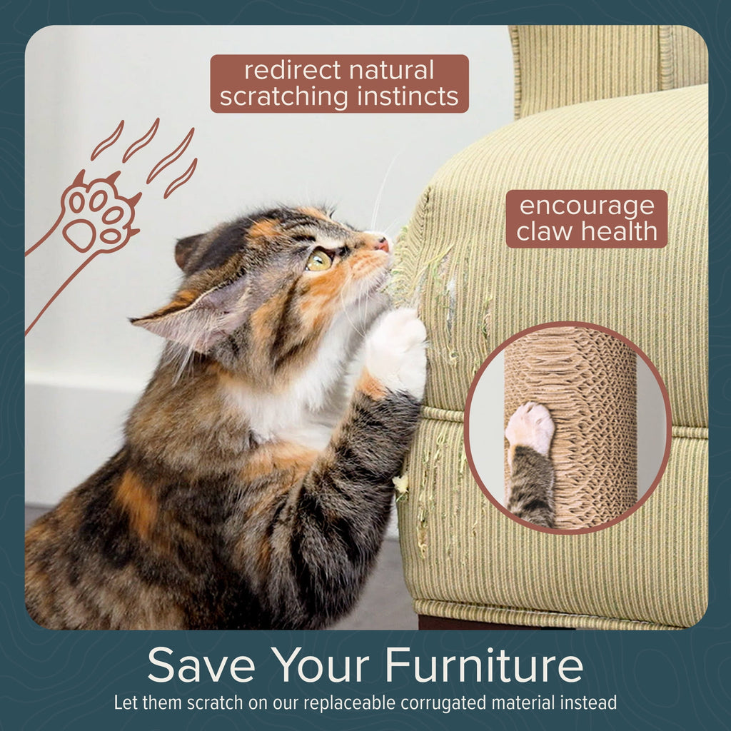 Ascentials by FurHaven Moonbeam Path Cat Scratcher (32”), Wall-Mounted Corrugated Cardboard Climber