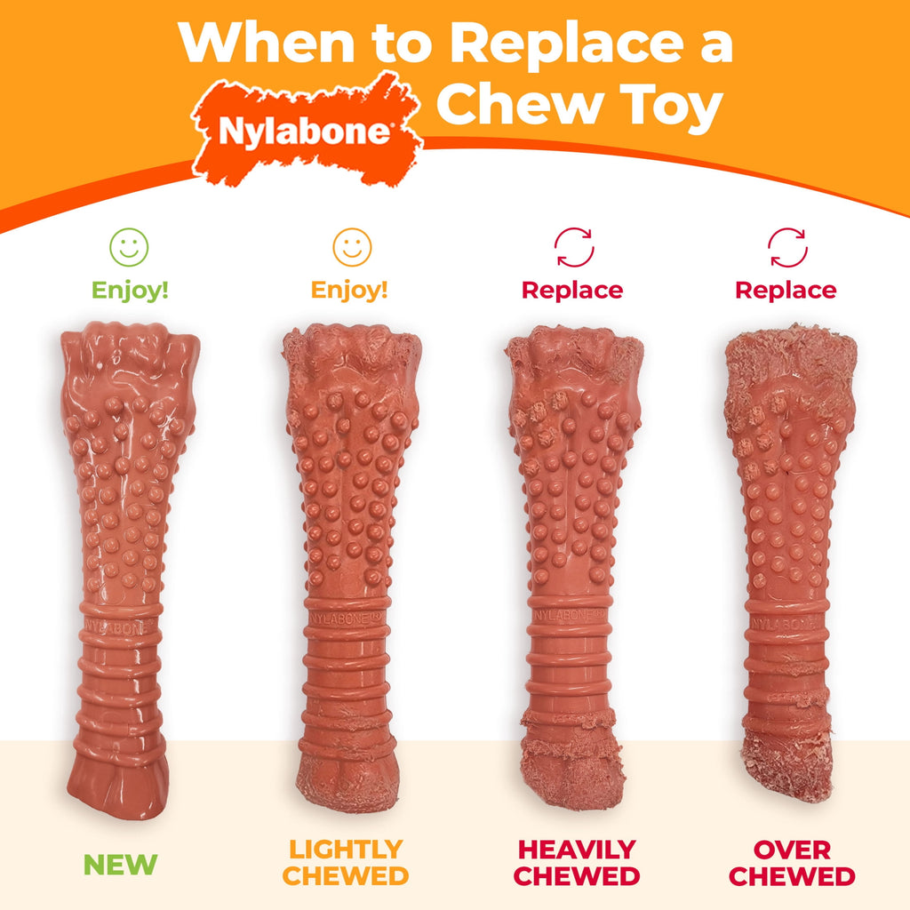 Nylabone Power Chew Textured Bone Dog Toy, Dog Chew Toy, Bacon & Steak Flavor, Large, 1 Count