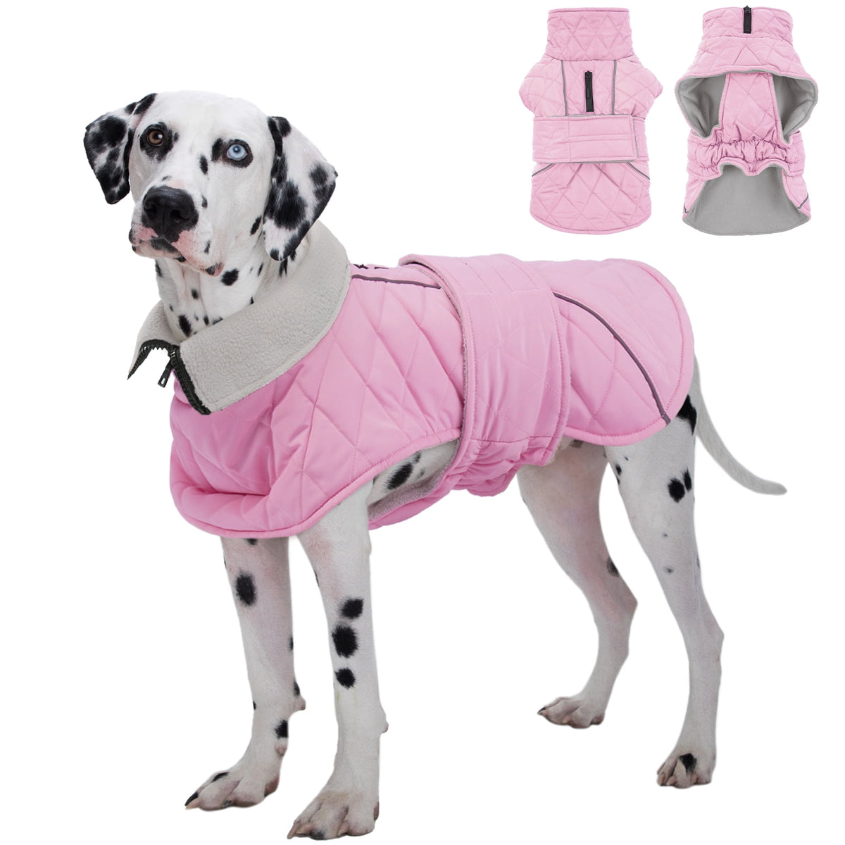 Kuoser Dog Coat Warm Dog Winter Jacket for Small Medium Large Dogs, Green, M