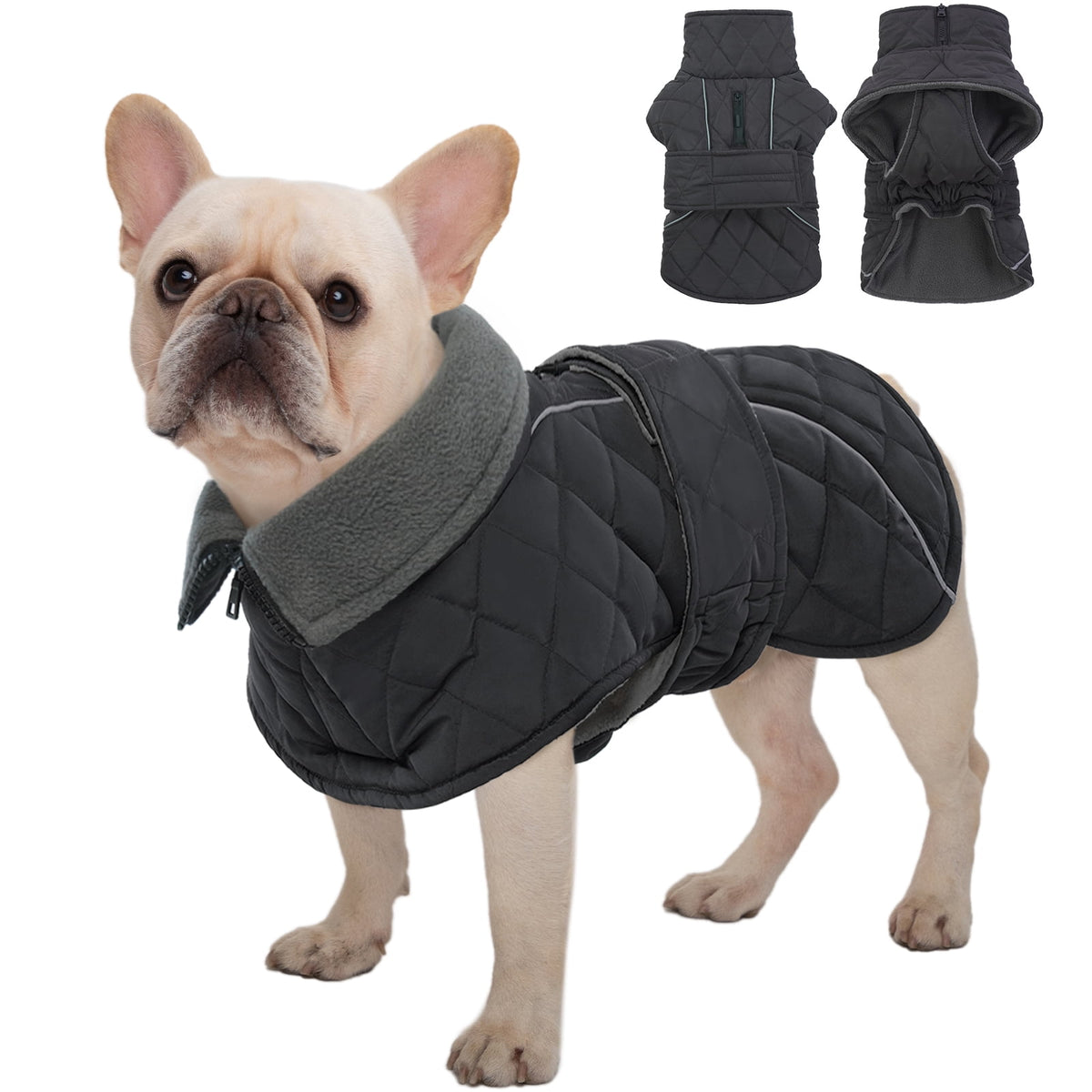 Kuoser Dog Coat Warm Dog Winter Jacket for Small Medium Large Dogs, Green, M