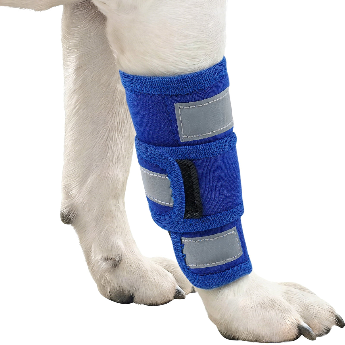 Kuoser Dog Front Leg Brace – Adjustable Carpal Support Wrap for Canine Joint, Wound Recovery & Anti-Licking Sleeve, Black, S/M