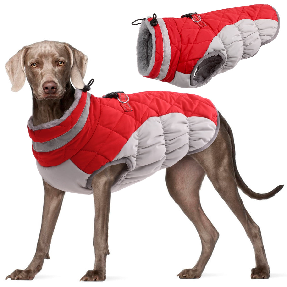 Kuoser Dog Winter Coat, Waterproof Windproof Fleece Padded Jacket with Reflective Trim and Leash Ring for Small Dogs, Purple, S