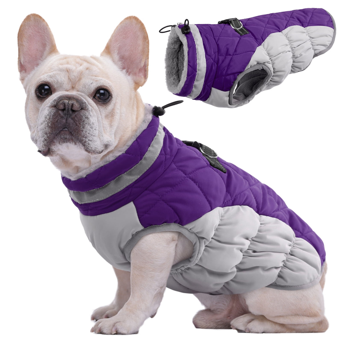 Kuoser Dog Winter Coat, Waterproof Windproof Fleece Padded Jacket with Reflective Trim and Leash Ring for Small Dogs, Purple, S