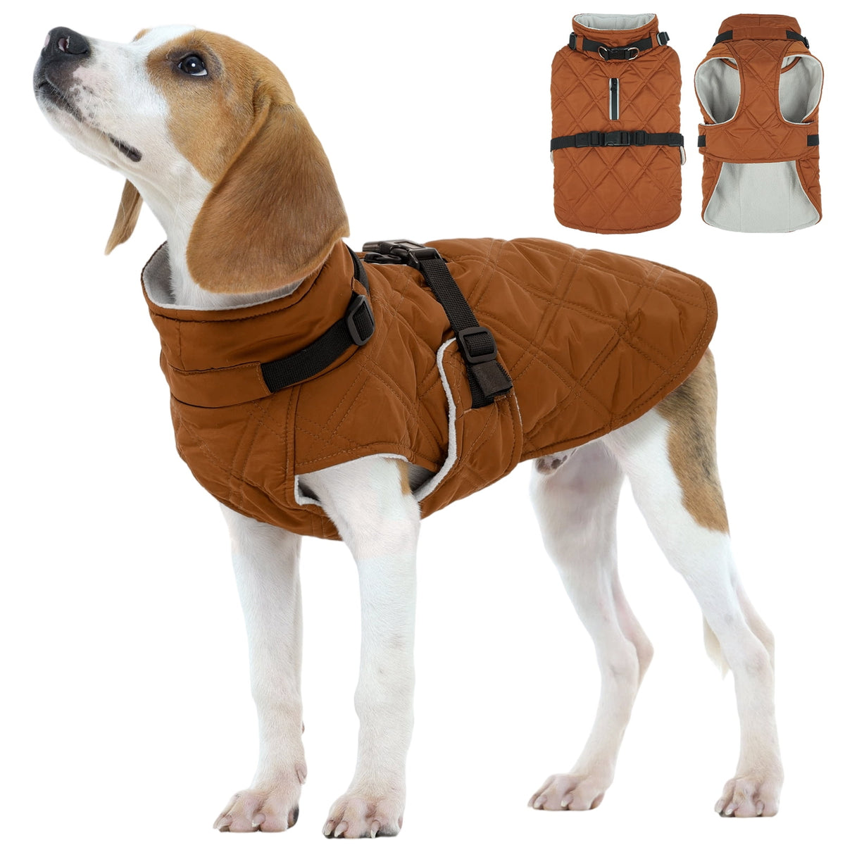 Kuoser Dog Winter Coat Warm Reflective Pet Jacket Waterproof Cold Weather Clothes for Dogs, Gray, M