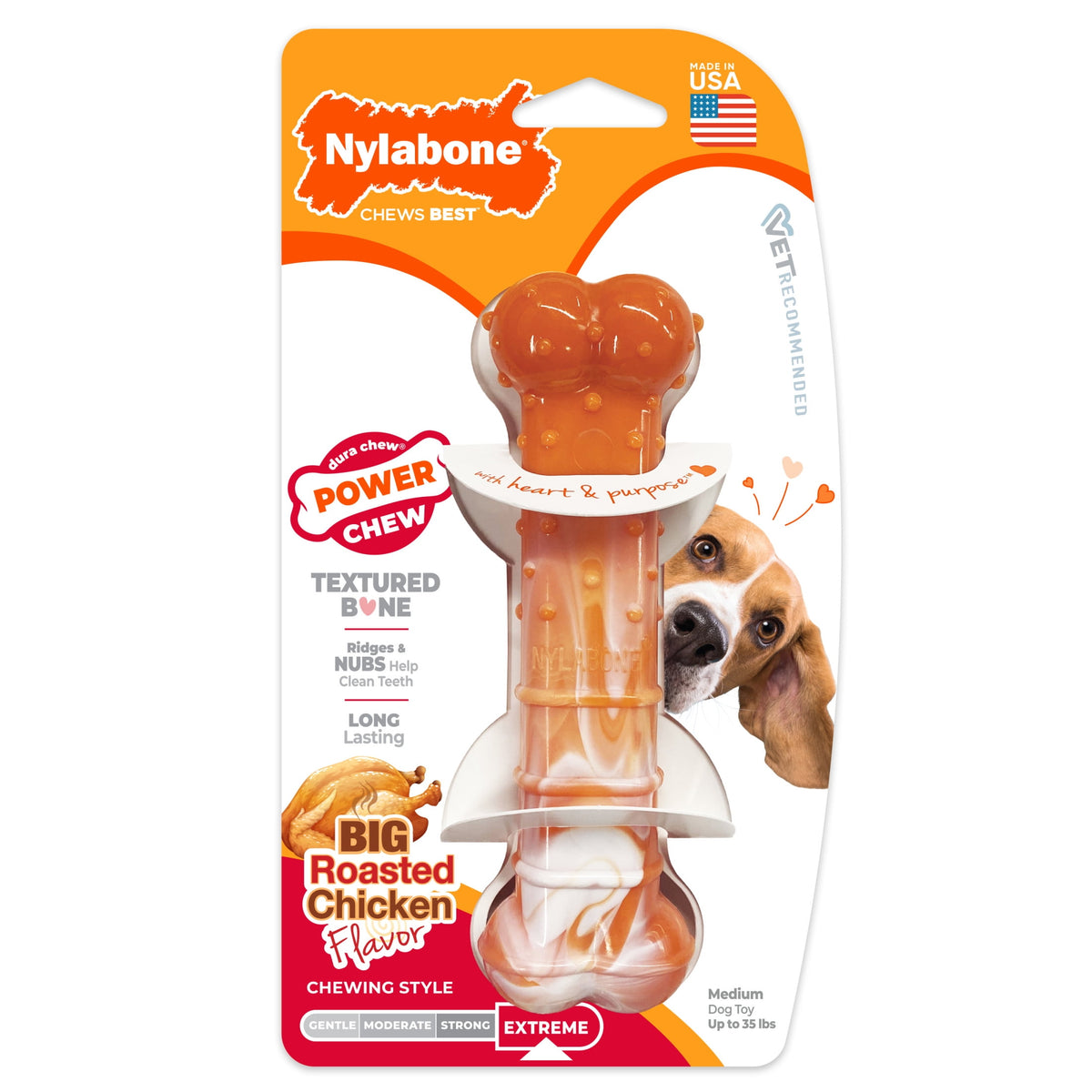 Nylabone Power Chew 70th Birthday Textured Bone Dog Toy, Dog Chew Toy, Chicken Flavor, Medium, 1 Count