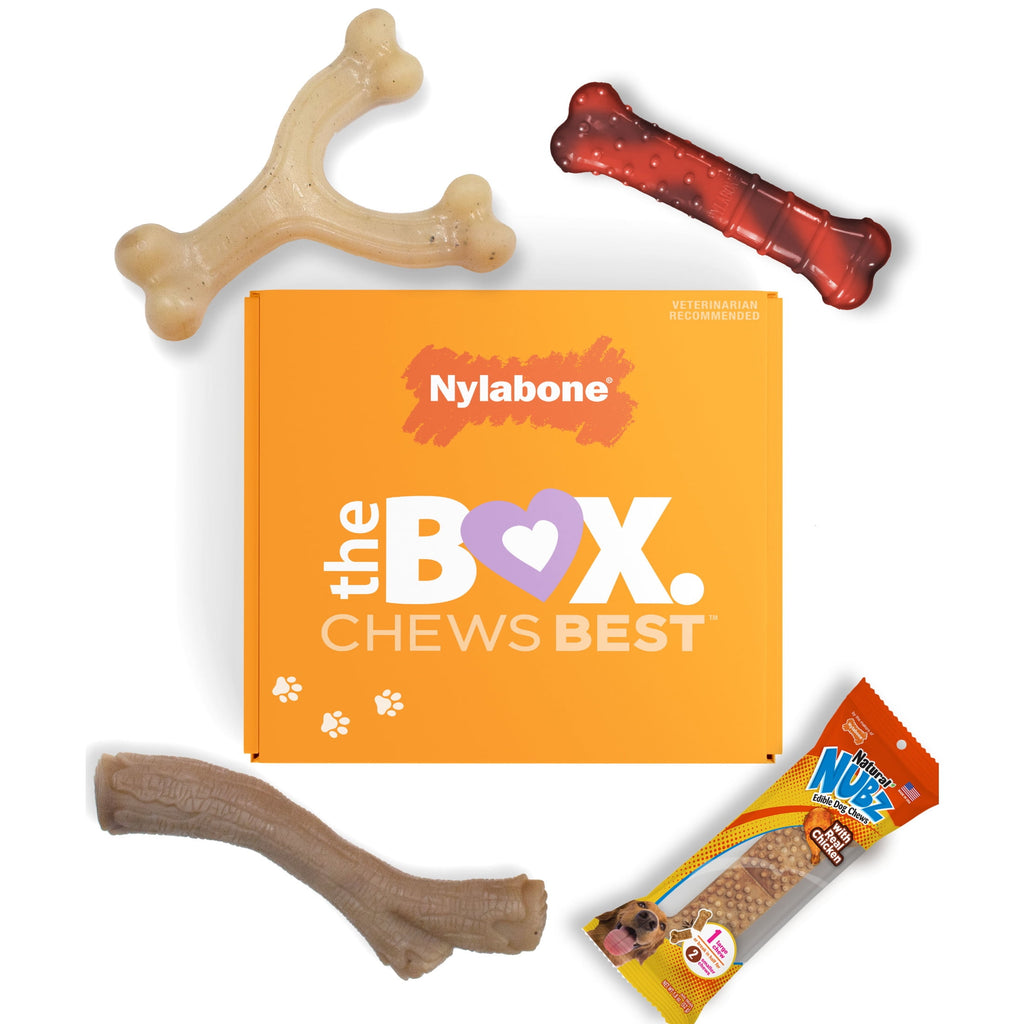 Nylabone Dog Toy Gift Box, Includes 3 Dog Chew Toys and 1 Dog Treat, Small Dogs, 4 Pack