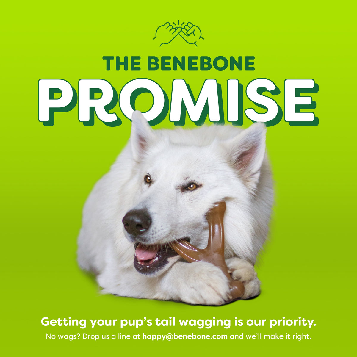 Benebone Essentials Wishbone Bacon M/L