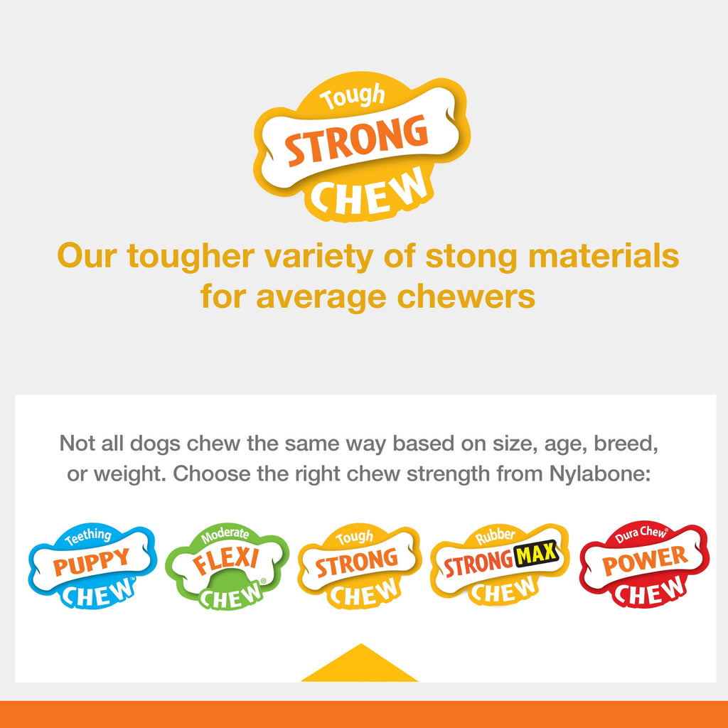 Nylabone Sneaky Snacker Dog Treat Toy Bacon Orange Large (1 Count)