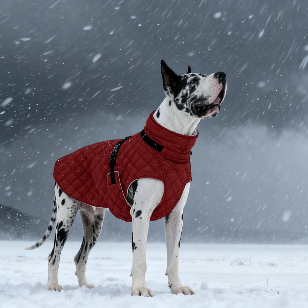 Kuoser Dog Winter Coat Warm Reflective Pet Jacket Waterproof Cold Weather Clothes for Dogs, Gray, M