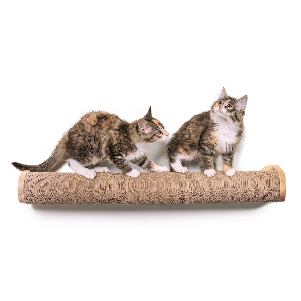 Ascentials by FurHaven Moonbeam Path Cat Scratcher (32”), Wall-Mounted Corrugated Cardboard Climber