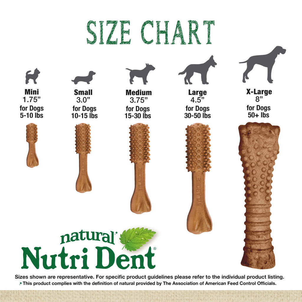 Nylabone Nutri Dent Natural Dental Chews for Dogs, Limited Ingredient Dog Treats, Teeth Cleaning Dental Sticks for Dogs, Filet Mignon Flavor, For X-Small Dogs (78 Count)