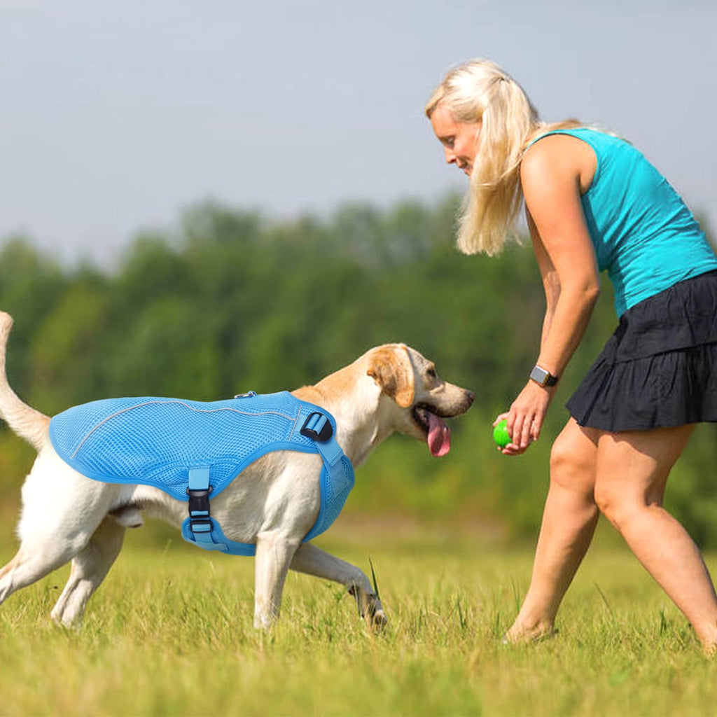 Kuoser Dog Cooling Vest, Breathable Mesh Ice Vest for Dogs, Cooling Jacket for Pet, Blue, extra large