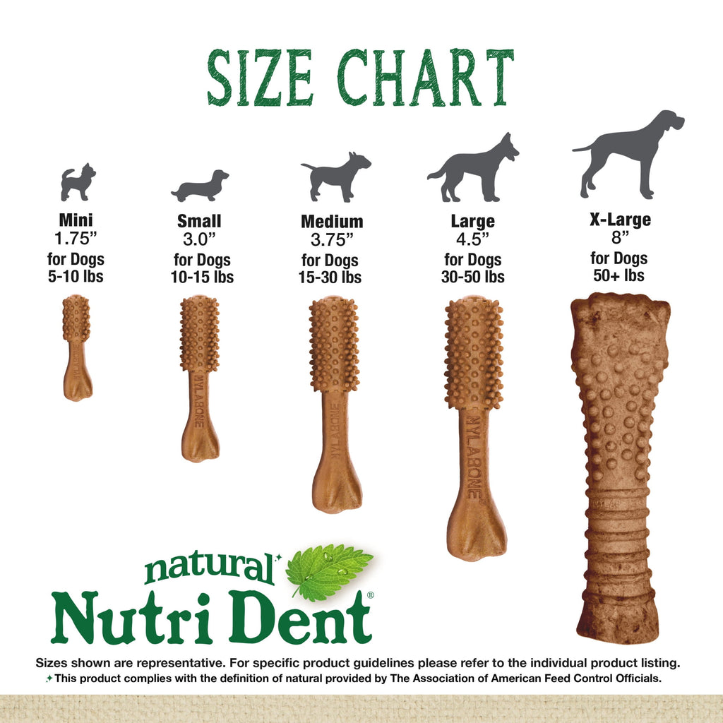 Nylabone Nutri Dent Natural Dental Chews for Dogs, Limited Ingredient Dog Treats, Teeth Cleaning Dental Sticks for Dogs, Filet Mignon Flavor, For X-Small Dogs (78 Count)