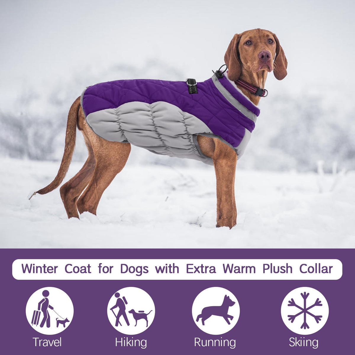 Kuoser Dog Winter Coat, Waterproof Windproof Fleece Padded Jacket with Reflective Trim and Leash Ring for Small Dogs, Purple, S