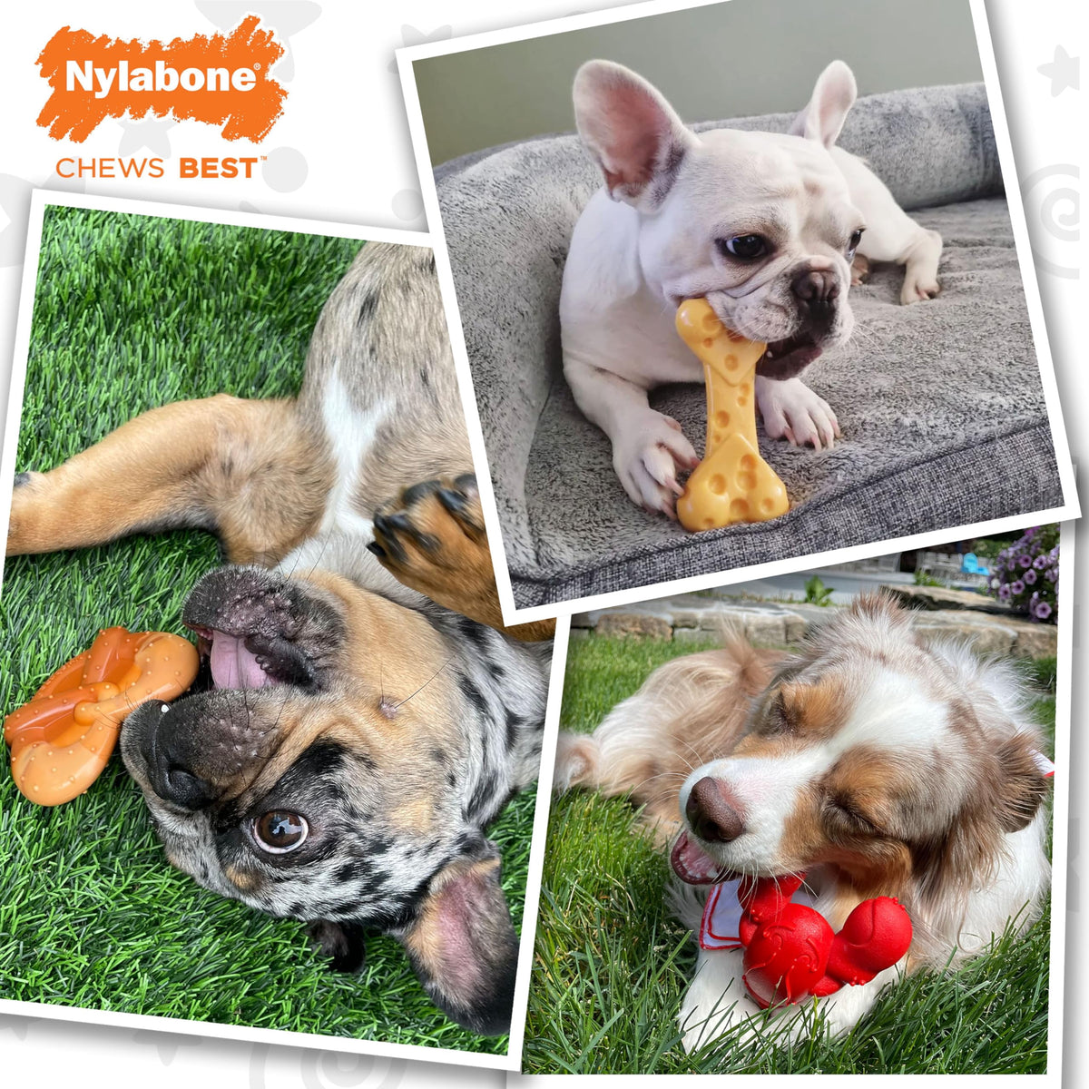 Nylabone Power Chew Toy Bundle, Cute Dog Toys for Aggressive Chewers, Filet Mignon, Cheese, and Bacon Flavors, Small Dogs - Up to 25 lbs, 3 Pack