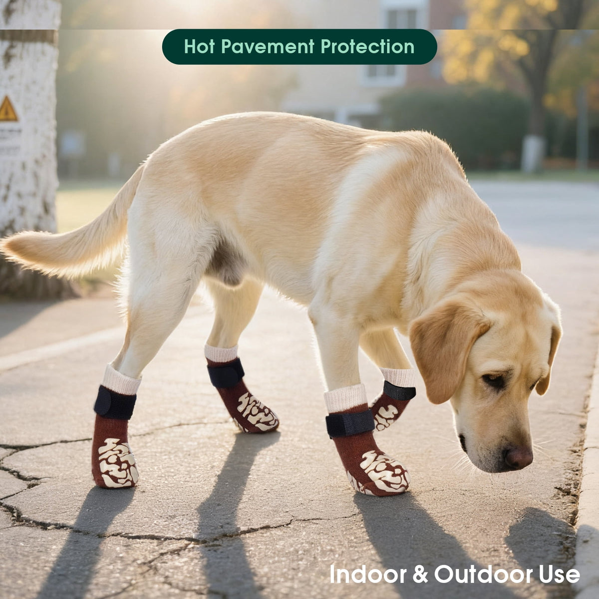 Kuoser Non-Slip Dog Socks for Hardwood Floors & Hot Pavement, Adjustable Pet Socks to Stop Licking and Slipping, Black, M