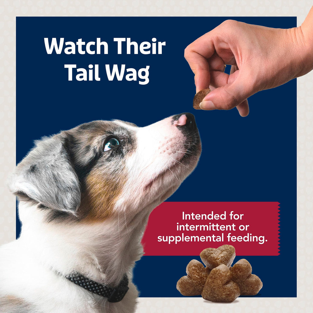 Blue Buffalo Jumbo Bits Beef Recipe, Soft & Chewy Natural Dog Treats, 11 oz. Bag