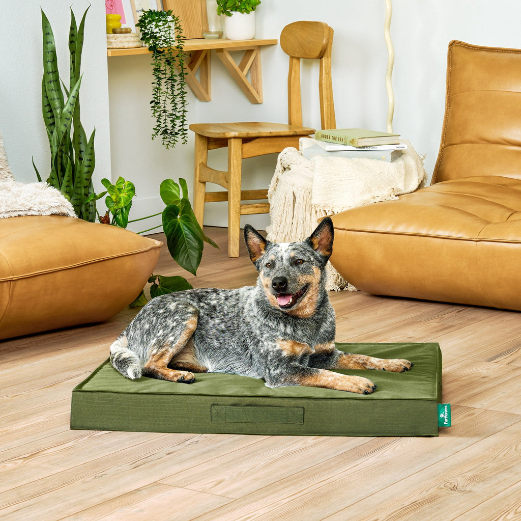 FurHaven Grid Indoor-Outdoor Cooling Memory Foam Deluxe Mattress for Dogs and Cats - Olivine, Medium