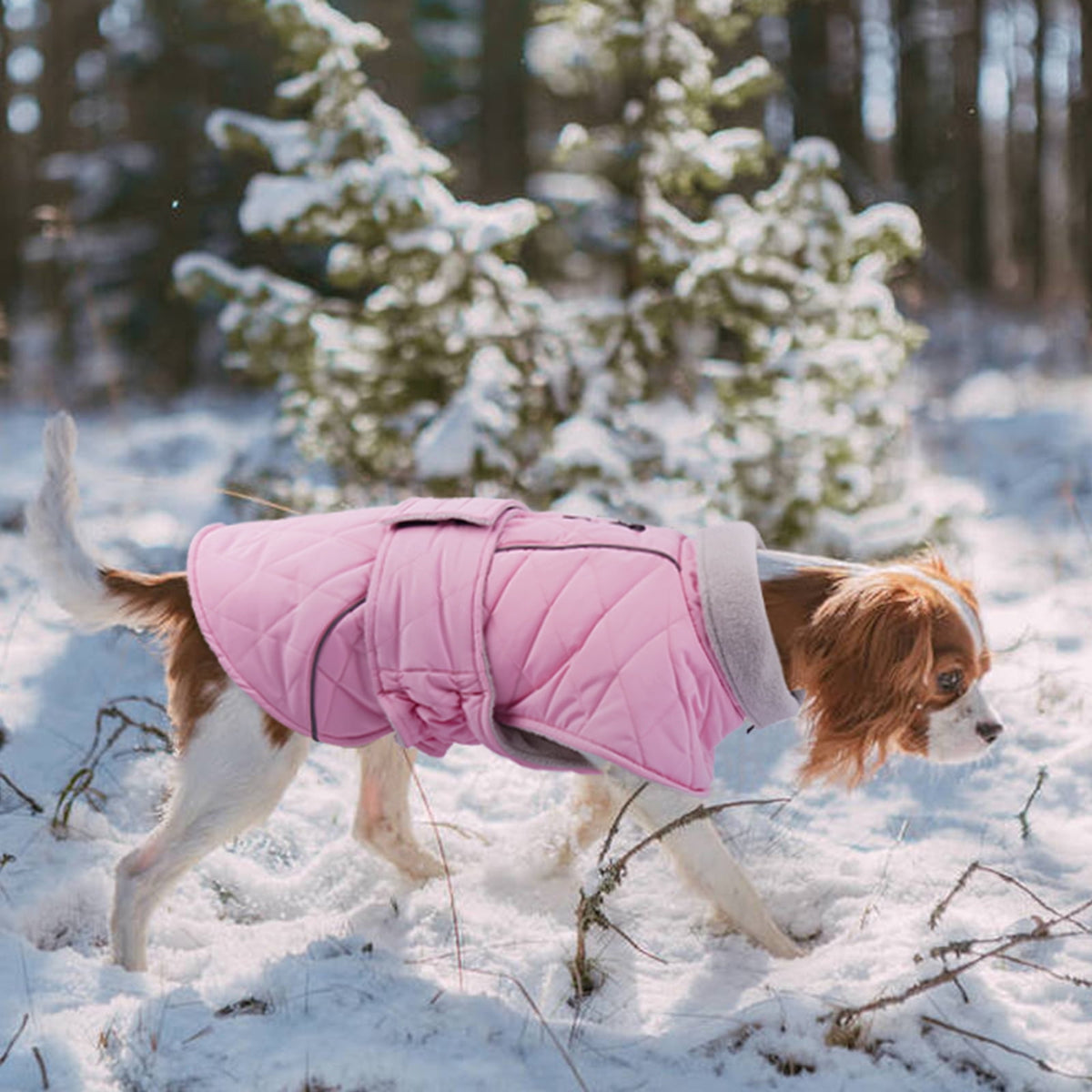 Kuoser Dog Coat Warm Dog Winter Jacket for Small Medium Large Dogs, Green, M