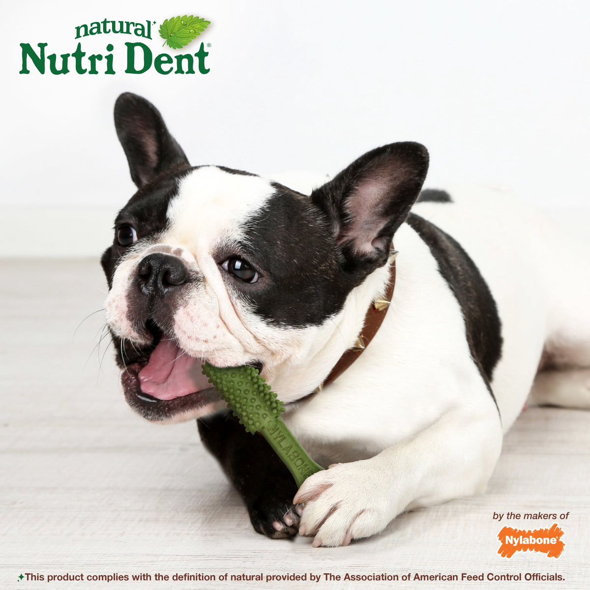 Nylabone Nutri Dent Natural Dental Chews for Dogs, Limited Ingredient Dog Treats, Teeth Cleaning Dental Sticks for Dogs, Fresh Breath Flavor, For Medium Dogs (40 Count)