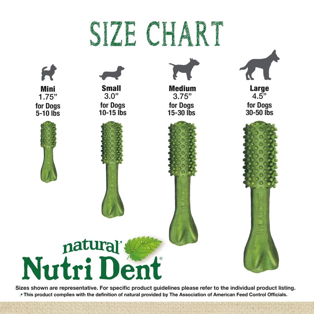 Nylabone Nutri Dent Natural Dental Chews for Dogs, Limited Ingredient Dog Treats, Teeth Cleaning Dental Sticks for Dogs, Fresh Breath Flavor, For Medium Dogs (20 Count)