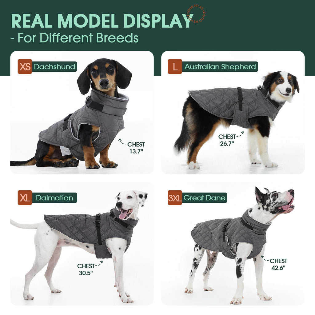 Kuoser Dog Winter Coat Warm Reflective Pet Jacket Waterproof Cold Weather Clothes for Dogs, Gray, M