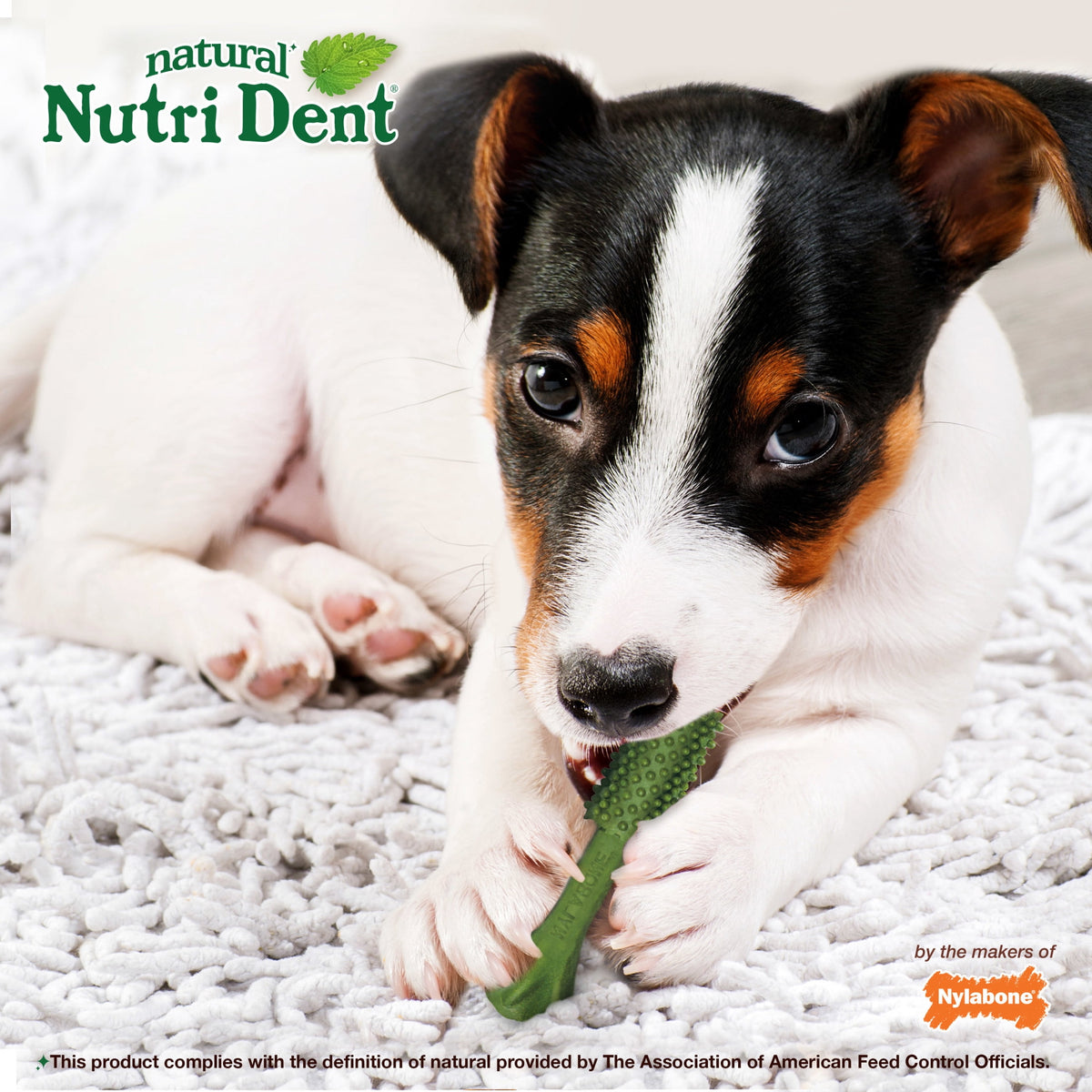 Nylabone Nutri Dent Natural Dental Chews for Dogs, Limited Ingredient Dog Treats, Teeth Cleaning Dental Sticks for Dogs, Fresh Breath Flavor, For Small Dogs (64 Count)