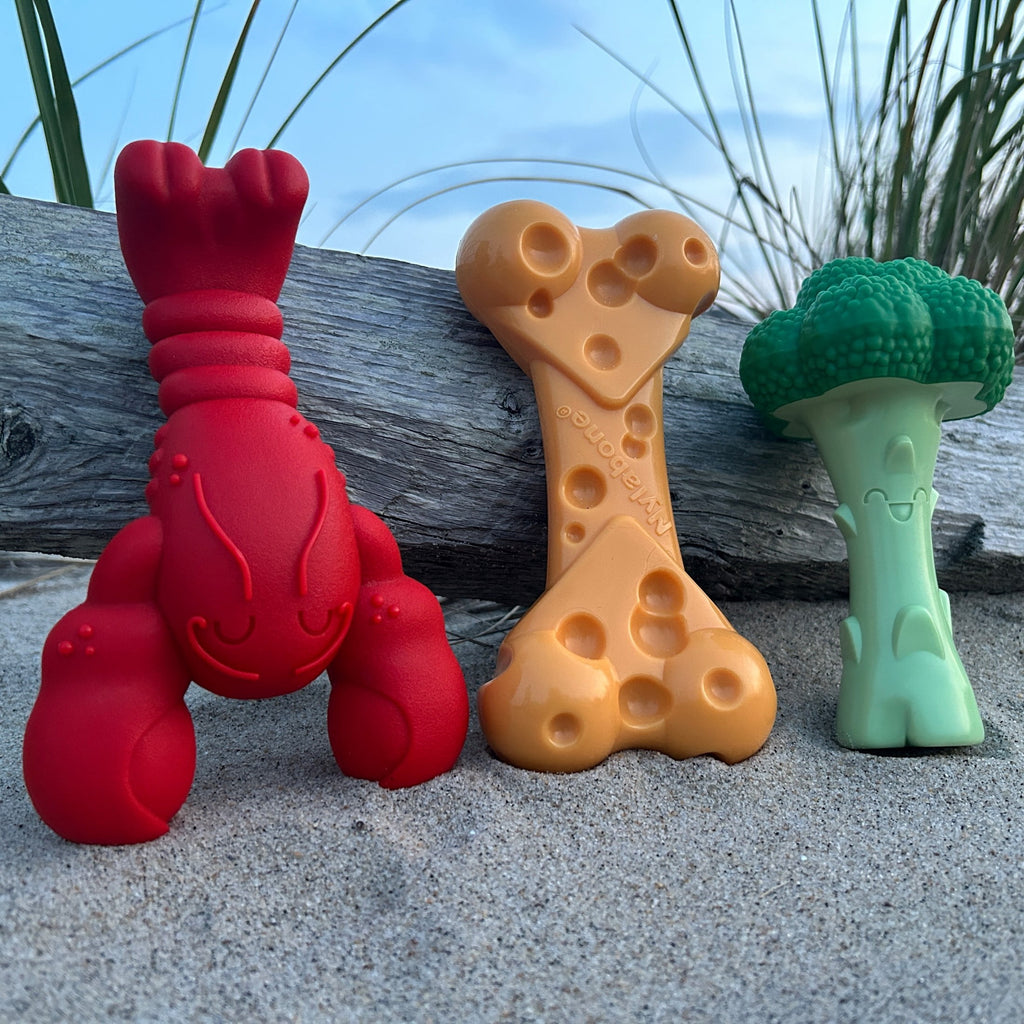 Nylabone Power Chew Toy Bundle, Cute Dog Toys for Aggressive Chewers, Filet Mignon, Cheese, and Bacon Flavors, Small Dogs - Up to 25 lbs, 3 Pack