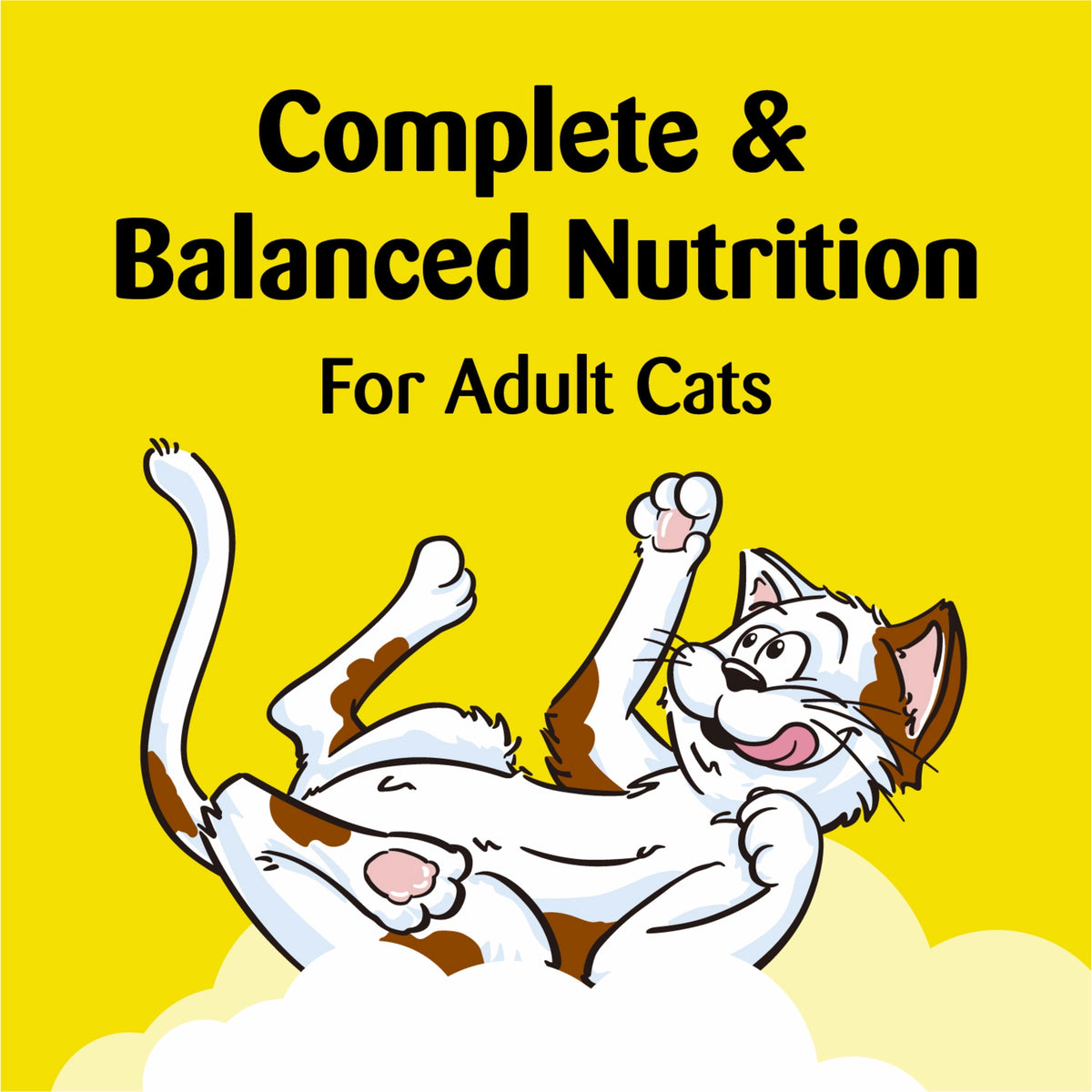 Temptations Classic Crunchy Treats Holiday Dinner Turkey Flavor Cat Treats 16 oz. Tub